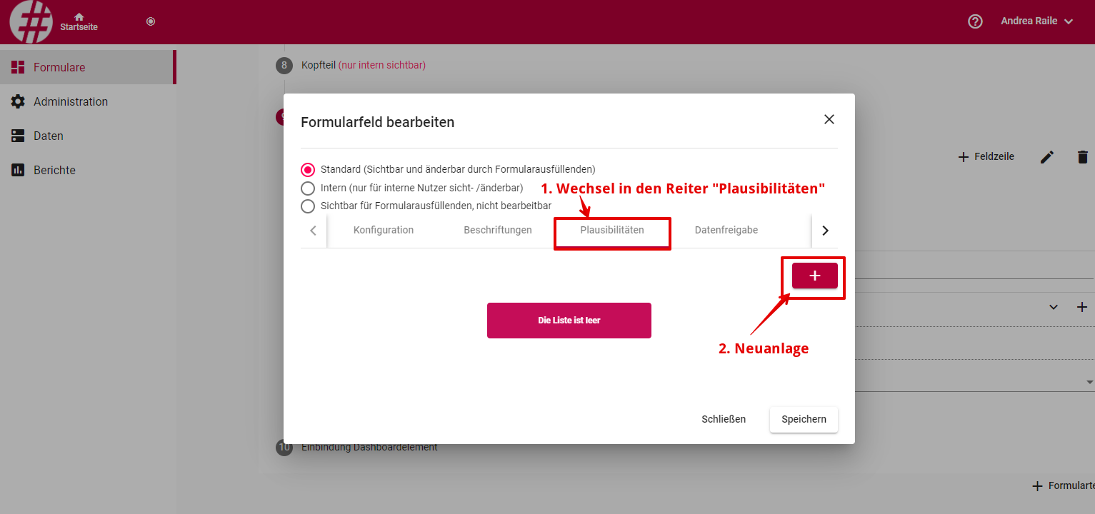 formular erstellen feld plausi hinterlegen1